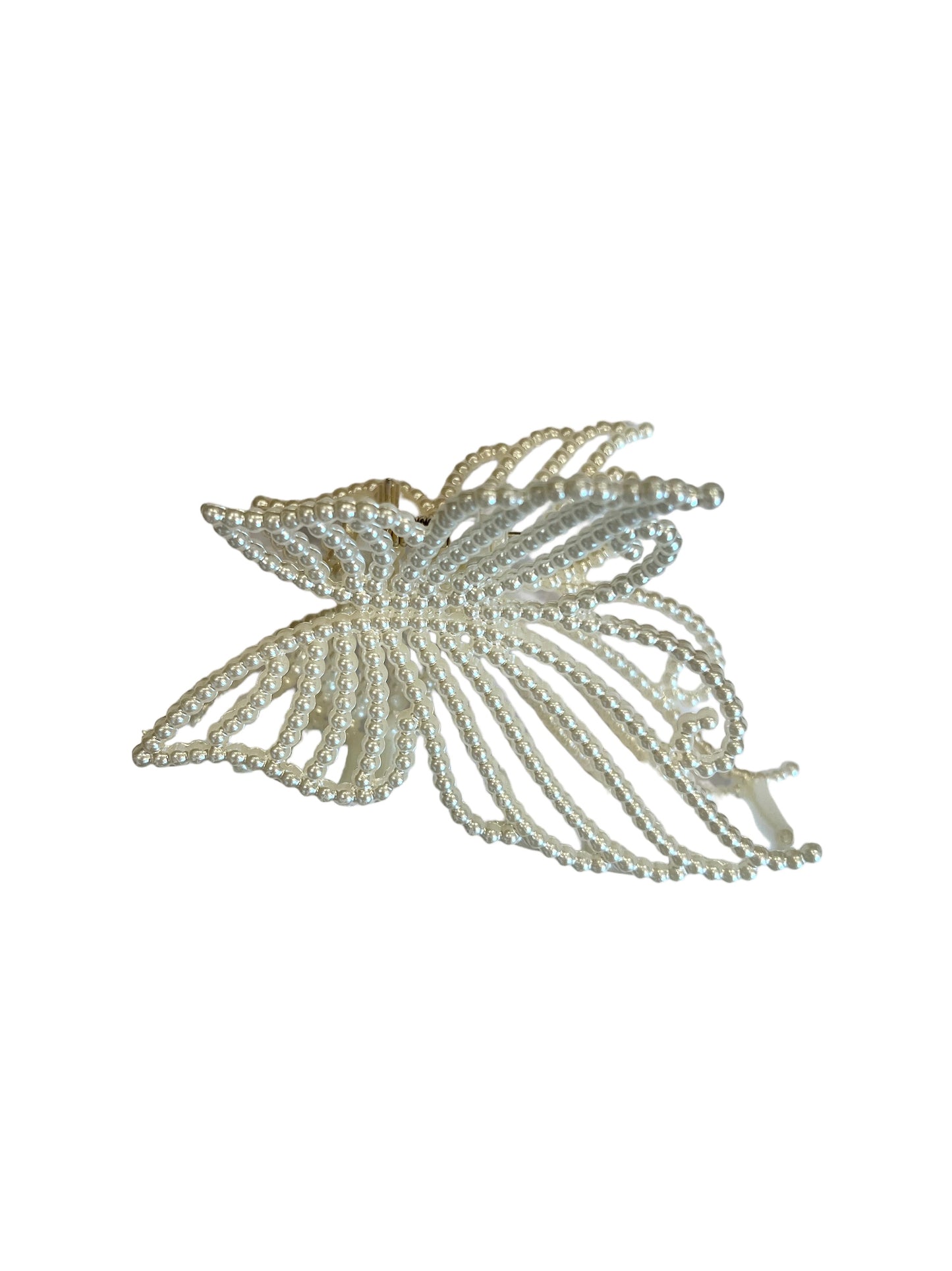 Dark Pearl Claw Butterfly